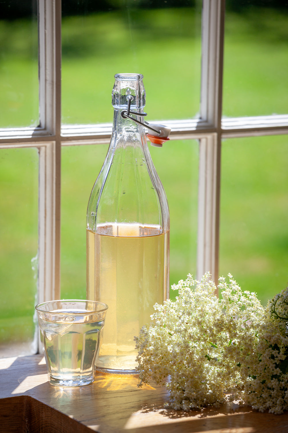 Elderflower cordial recipe