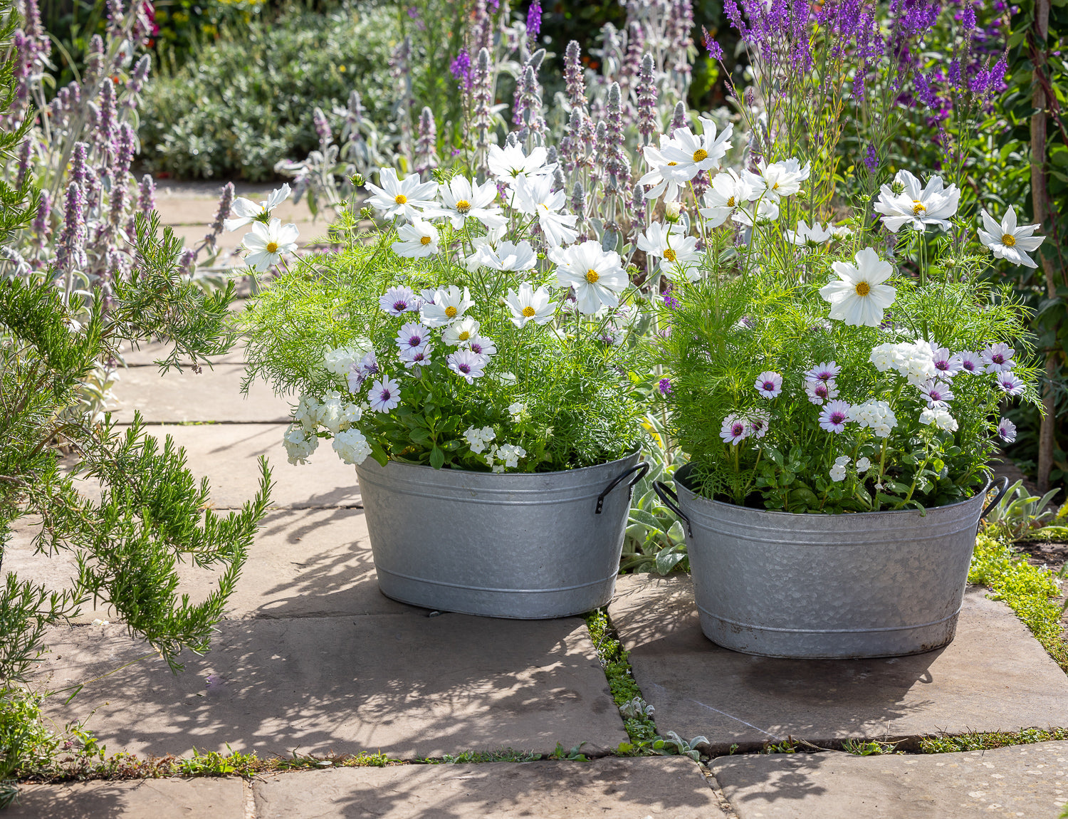 Creating beautiful summer flower containers