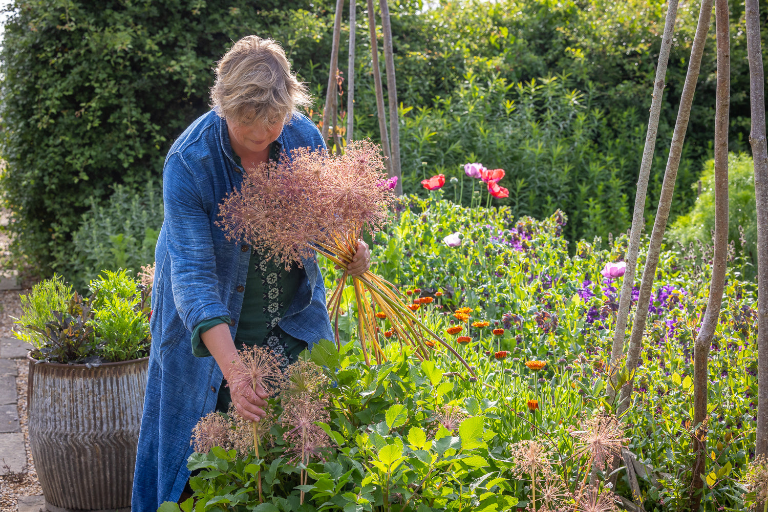 What to do with your allium seedheads