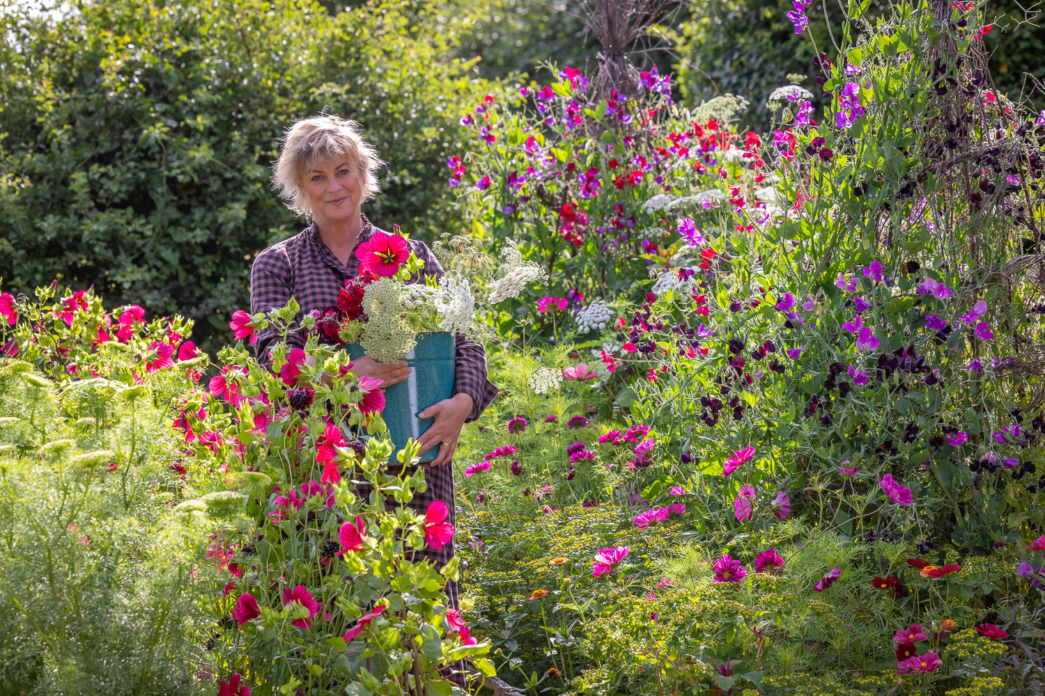 Sarah's favourite hardy annuals