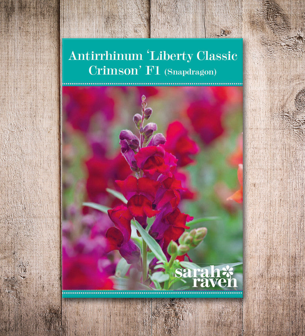 Antirrhinum majus 'Liberty Classic Crimson' F1