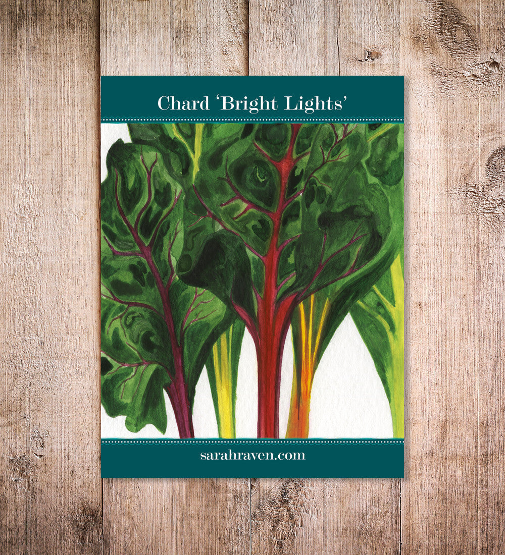 Chard 'Bright Lights'