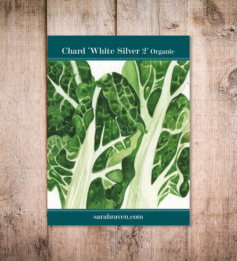 Swiss Chard 'White Silver 2'