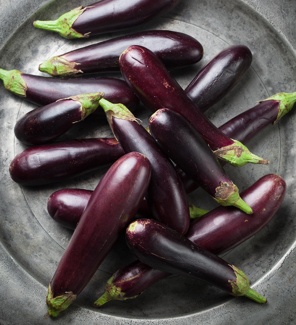 Aubergine 'Slim Jim'
