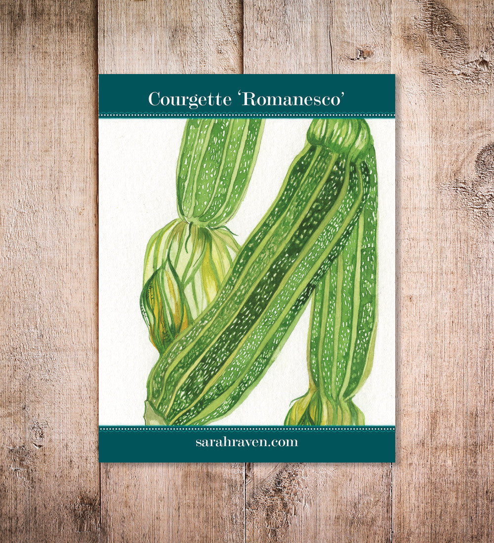 Courgette 'Romanesco'