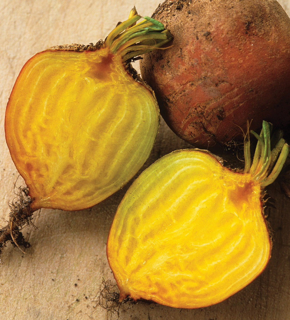 Beetroot Collection