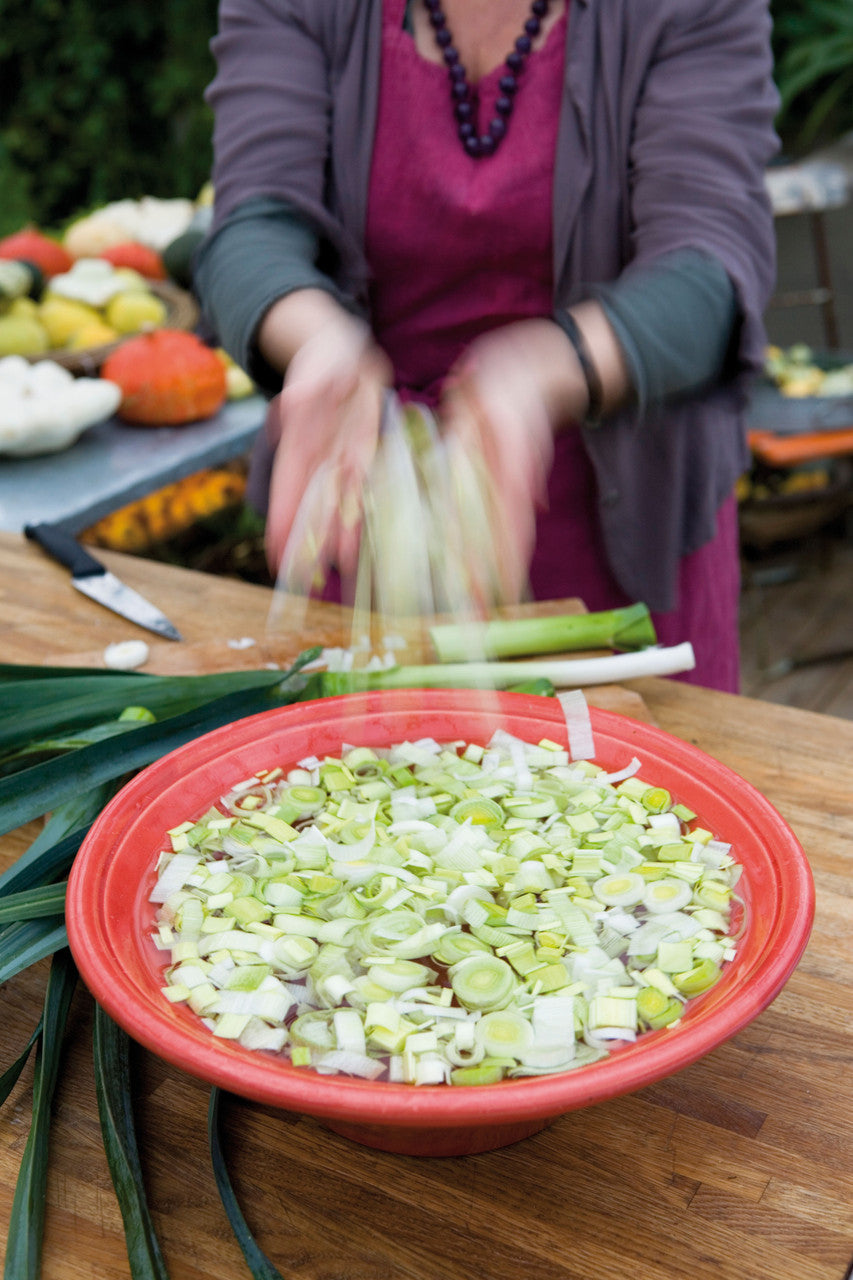 Leek 'Musselburgh'