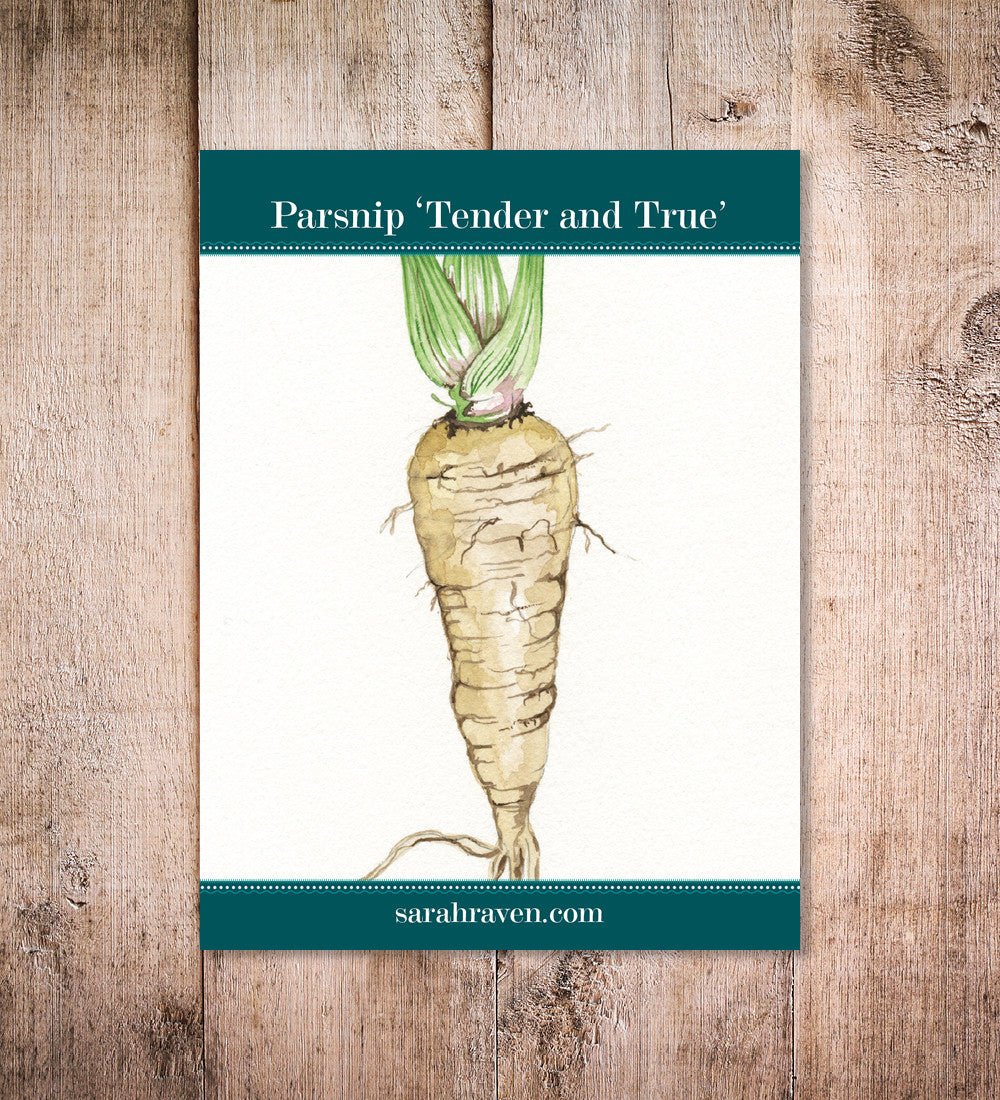 Parsnip 'Tender and True'