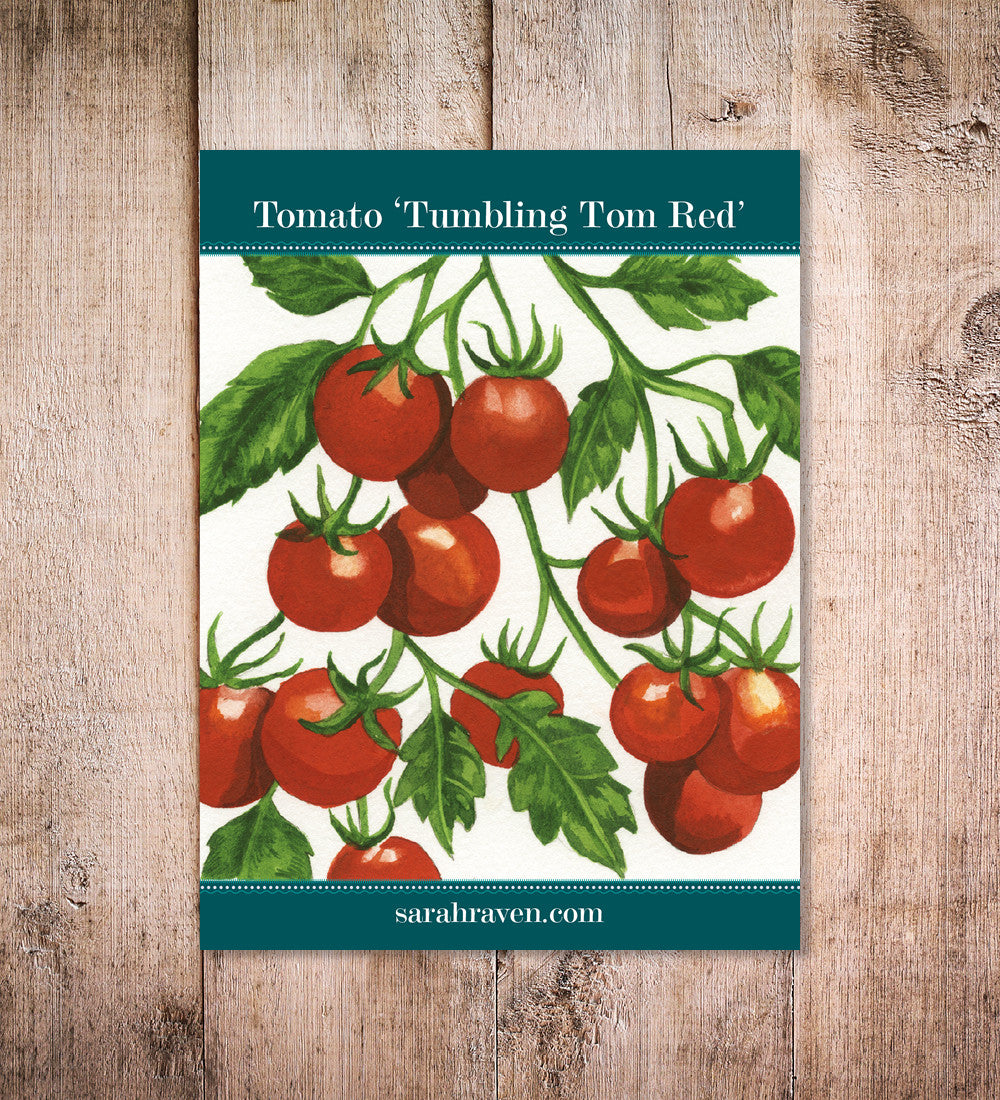 Tomato 'Tumbling Tom Red'