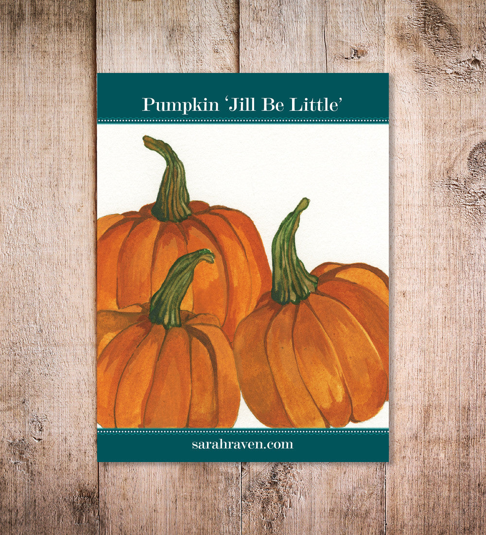 Pumpkin 'Jill be Little' (Climbing)