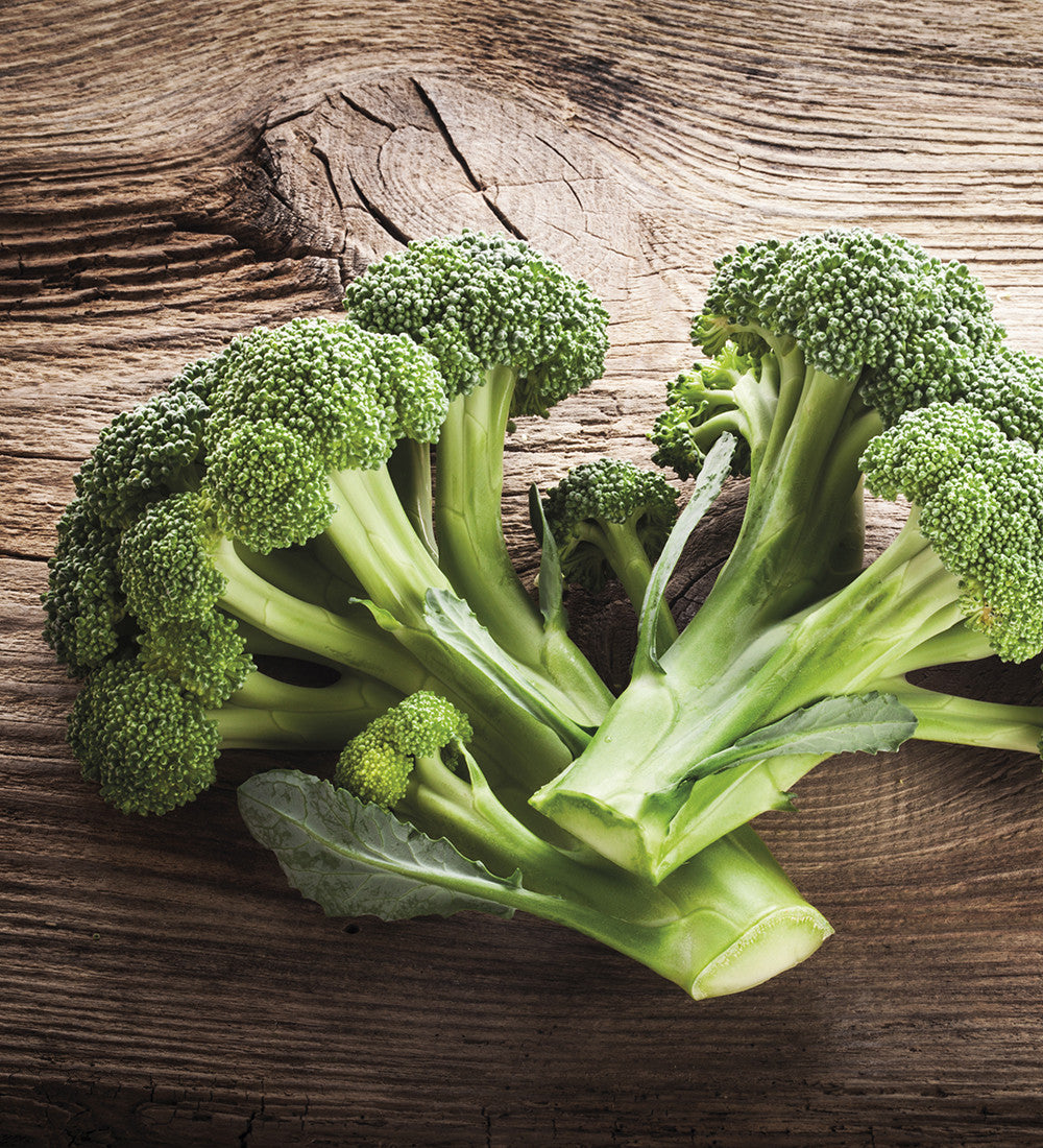 Broccoli (Calabrese) 'Ramoso'