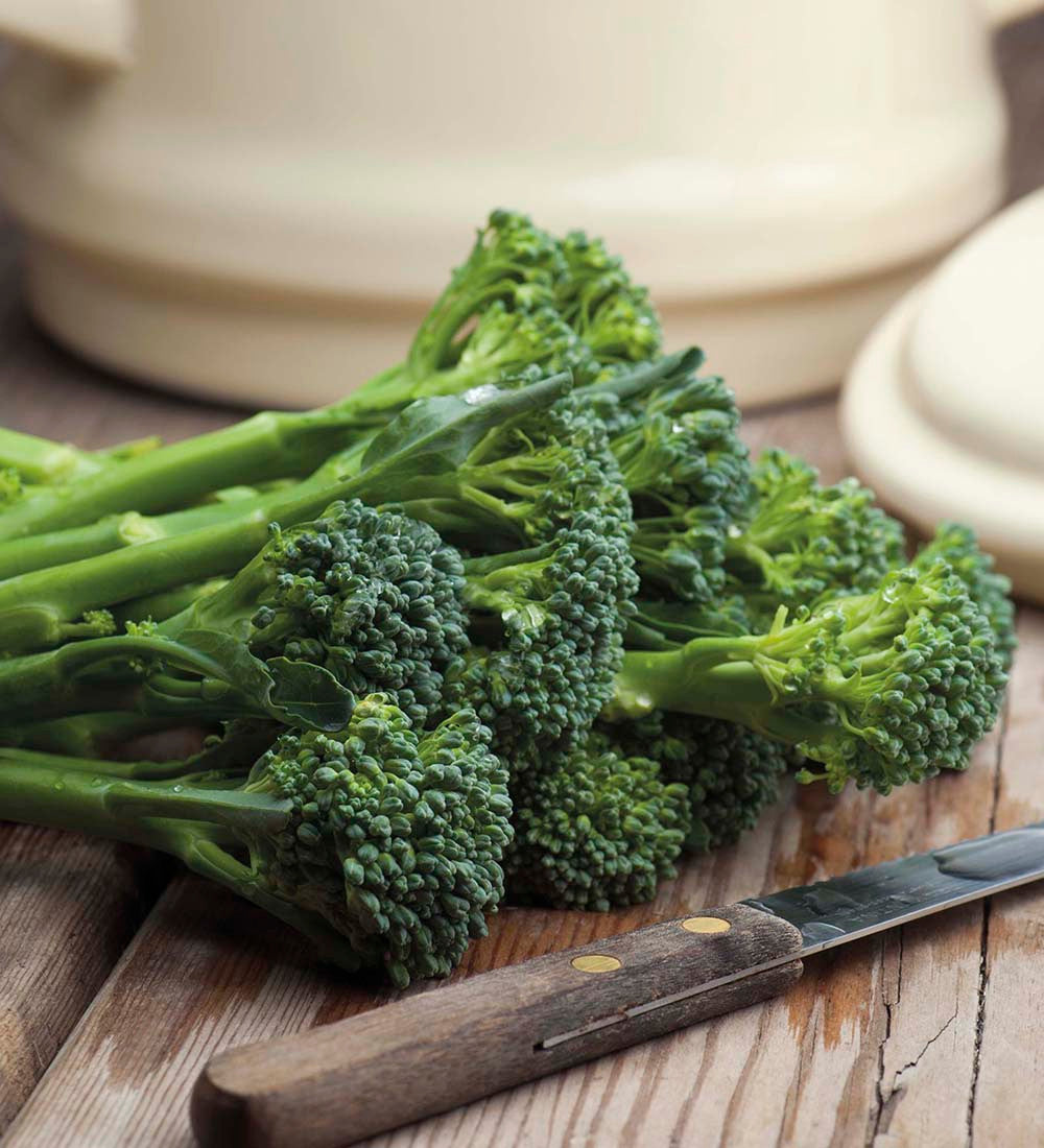 Broccoli 'Green Sprouting'