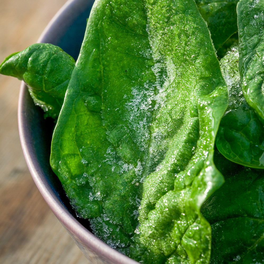 Spinach 'Giant Winter'