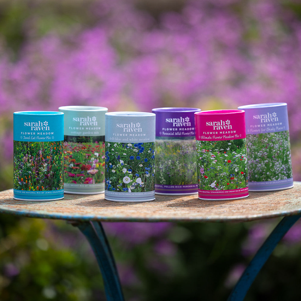 Flowers for Shady Places