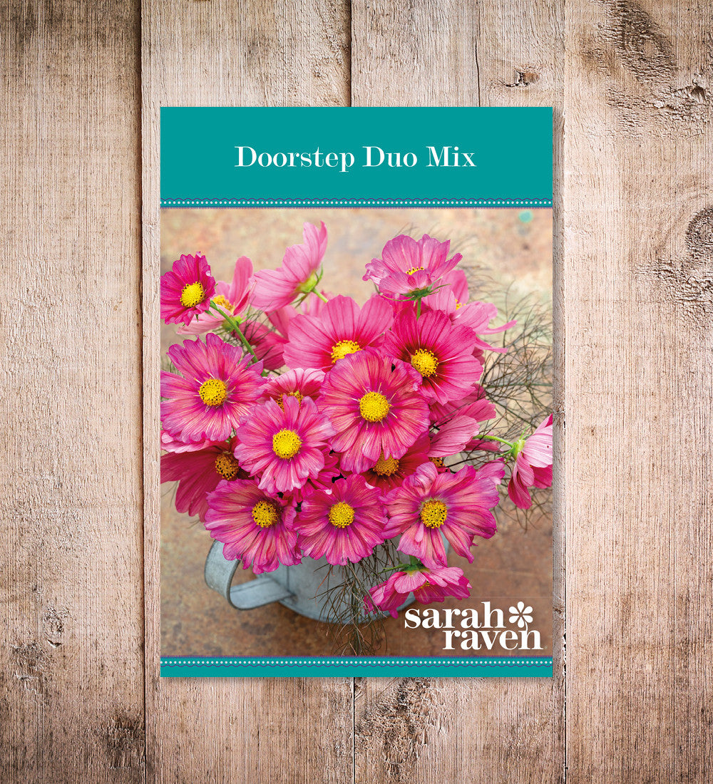 Doorstep Duo Mix