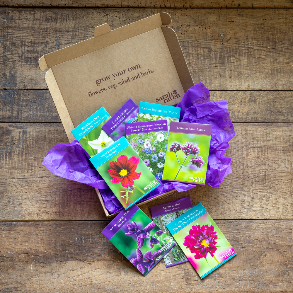 Abundant Borders Letterbox Collection