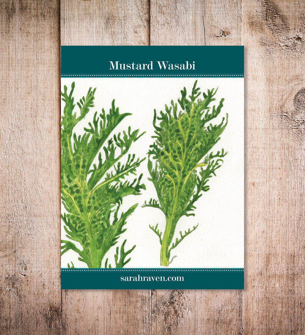 Mustard wasabi