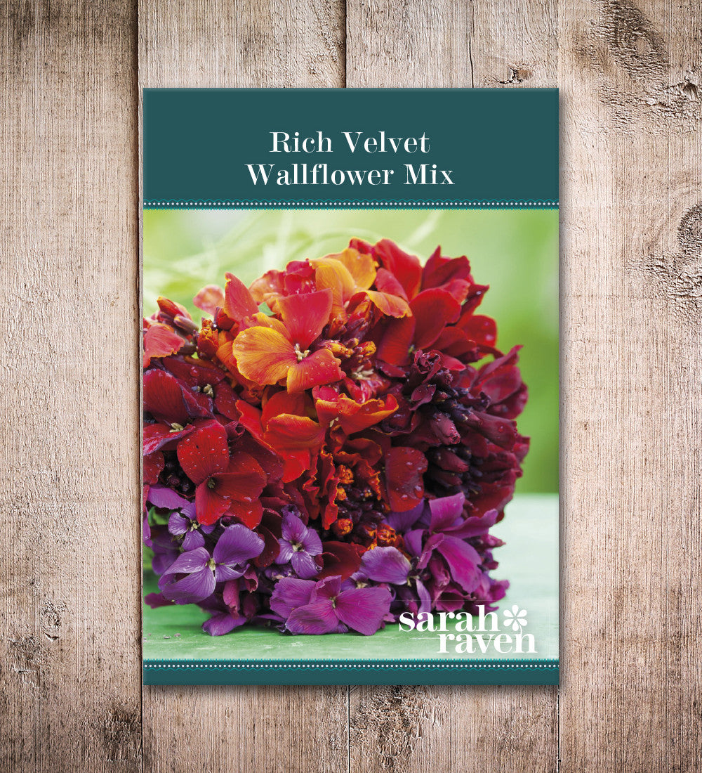 Rich Velvet Wallflower Collection
