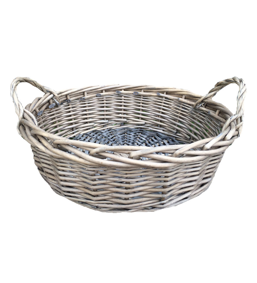 Paperwhites in Willow Basket