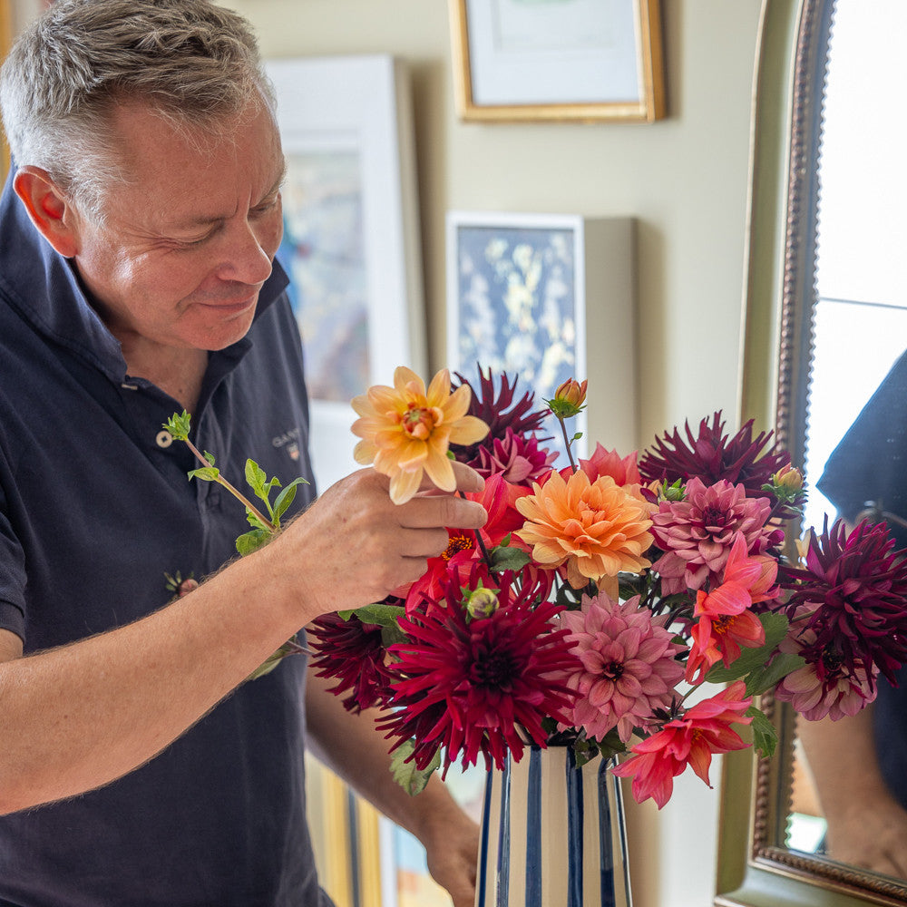 Tom's Dahlia Collection