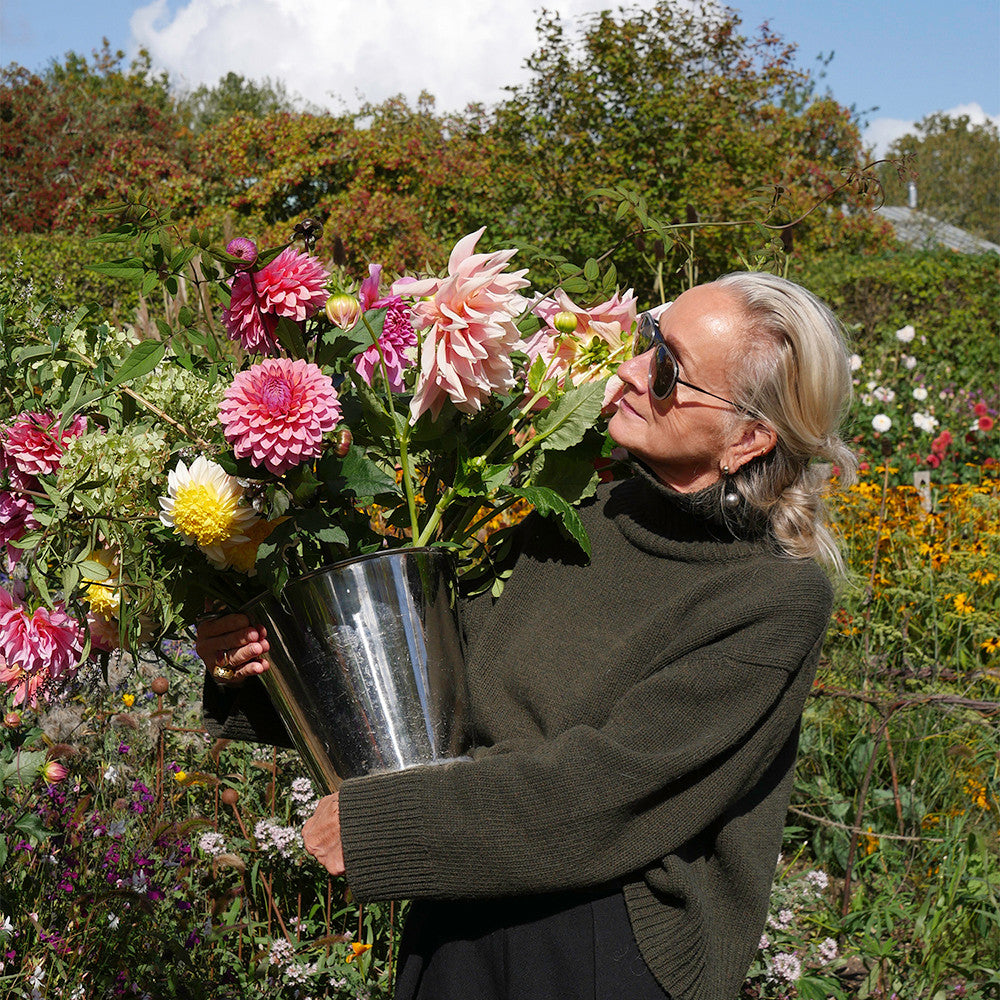 Lucinda Chambers Dahlia Collection