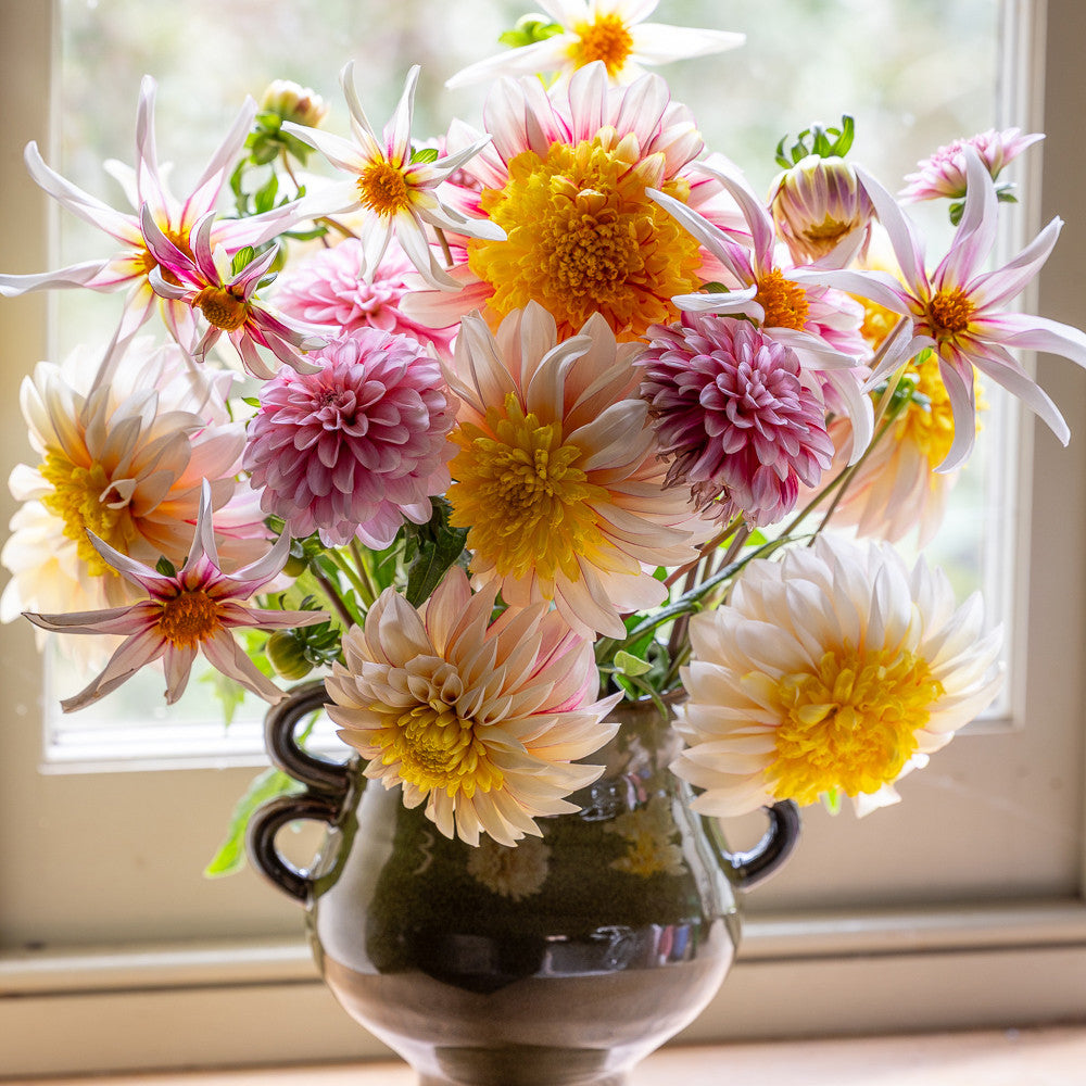 Paris Fashion Week Dahlia Collection