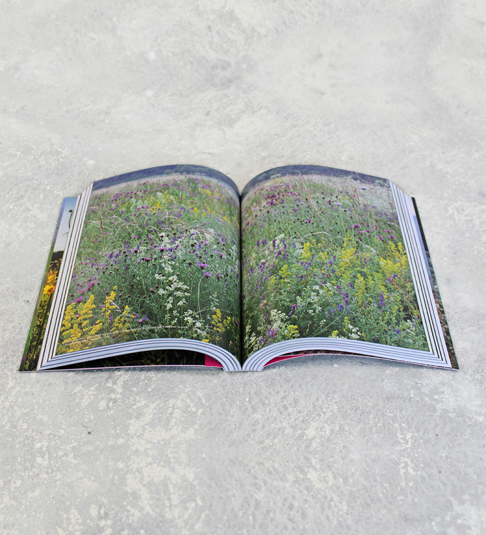 Sarah Raven's Wild Flowers