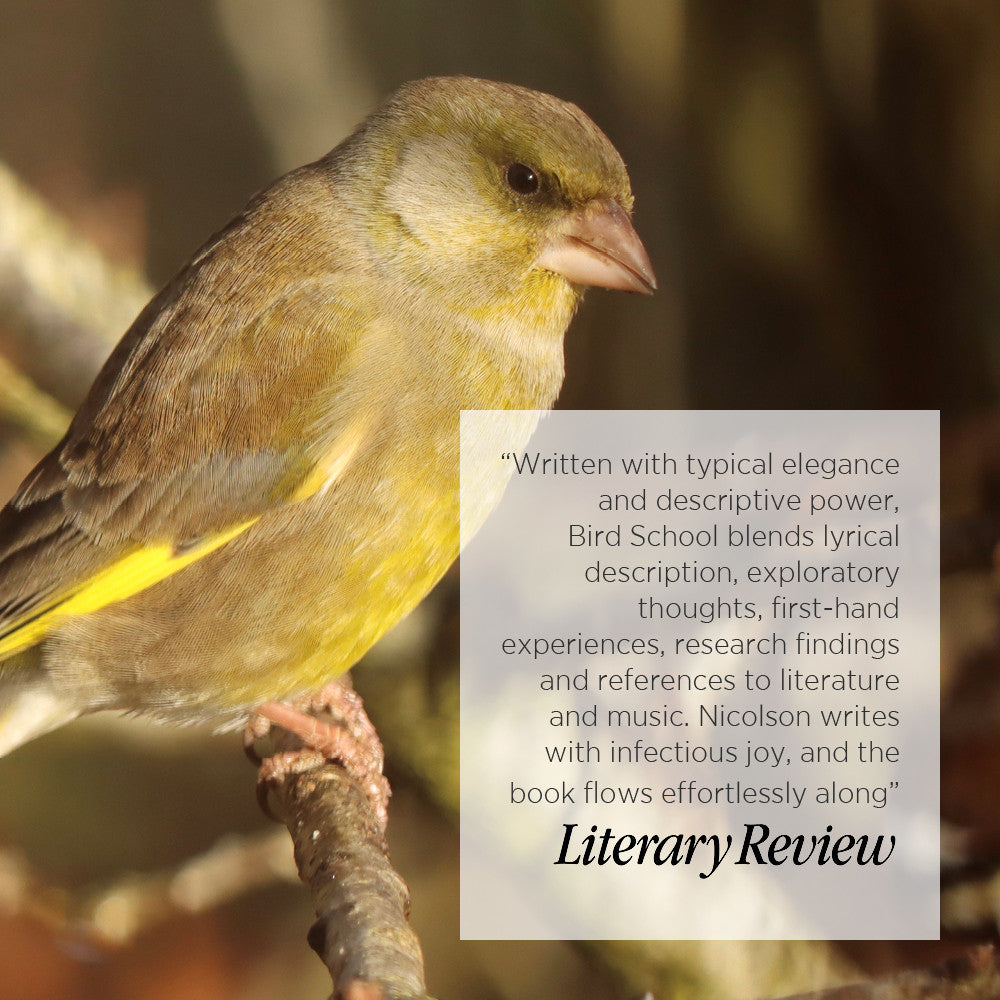 Bird School: A Beginner in the Wood