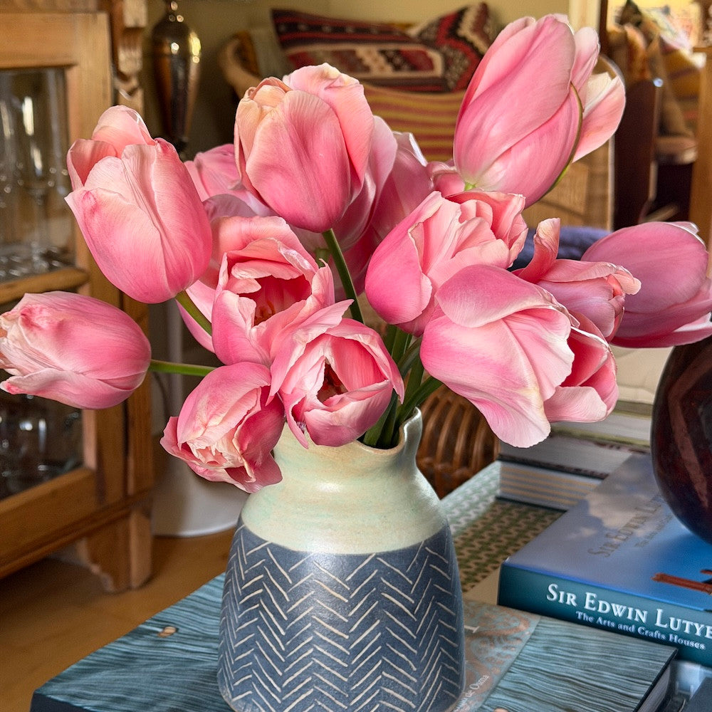 Tulip 'Menton'