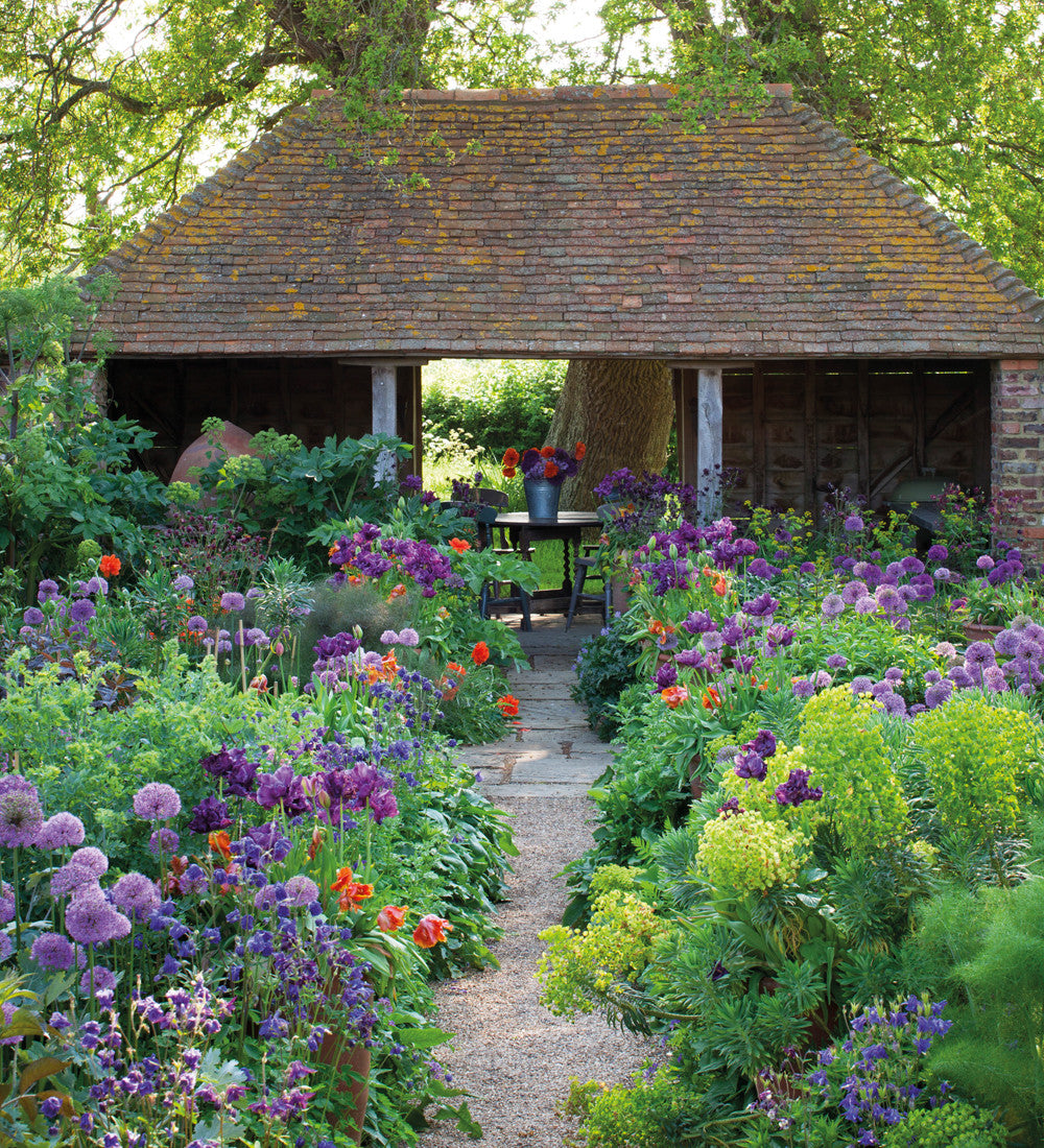 Allium Collection