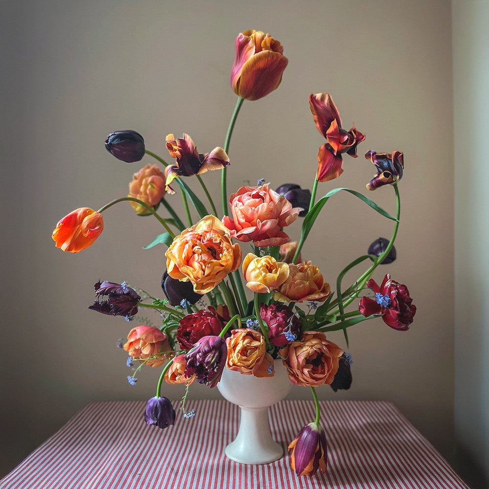 Swallows and Damsons Tulip Collection