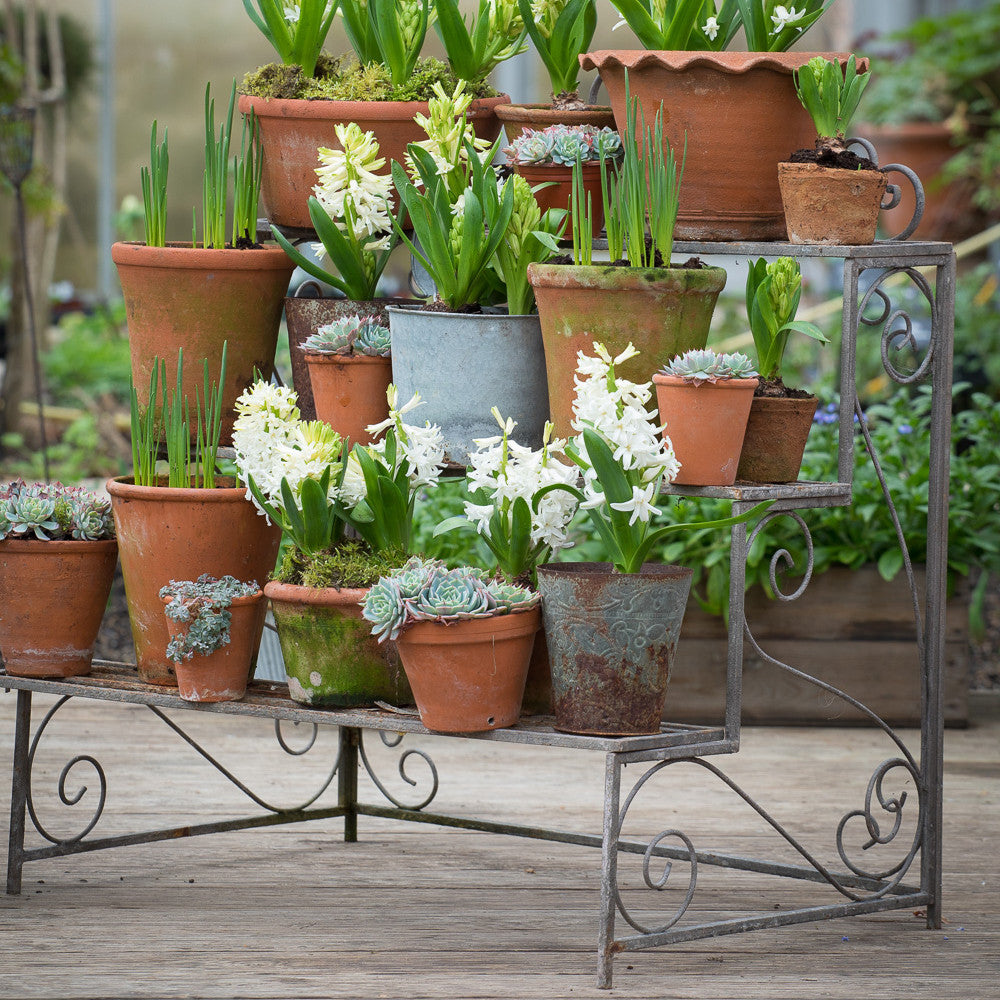 Plant Theatre