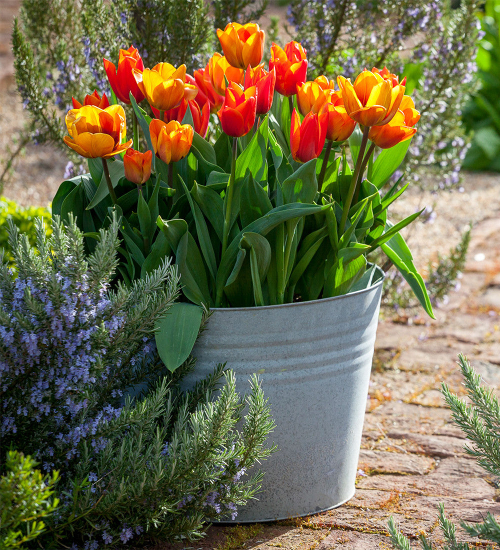 Large Zinc Planter