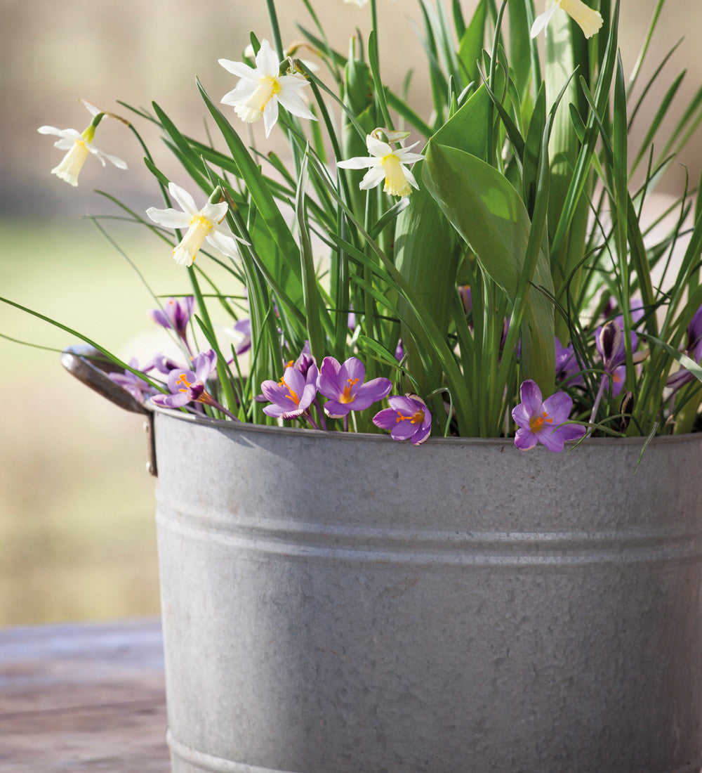 Large Zinc Planter