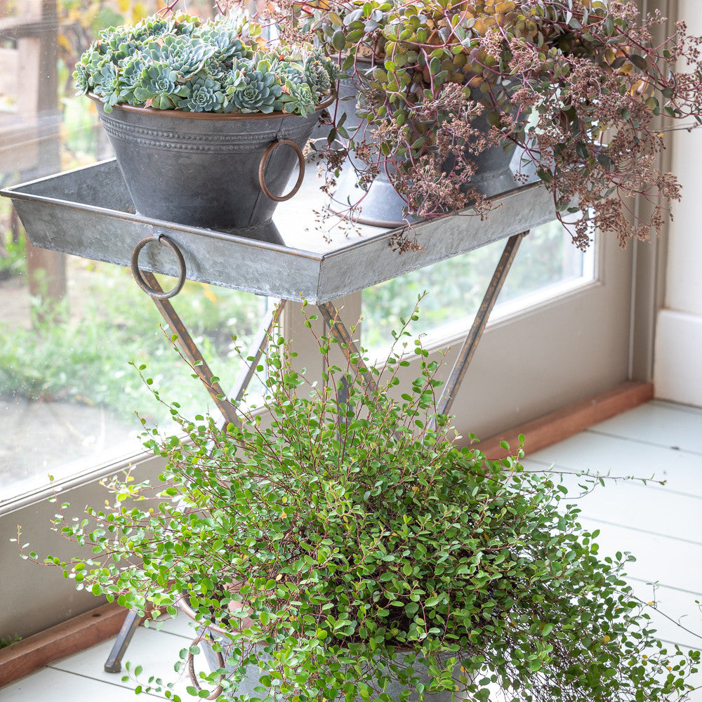 Rustic Zinc Table