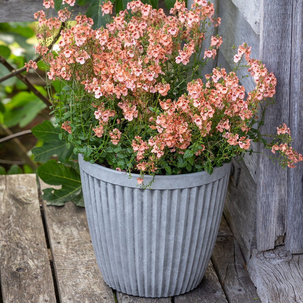 Recycled Plastic Grey Ribbed Pots