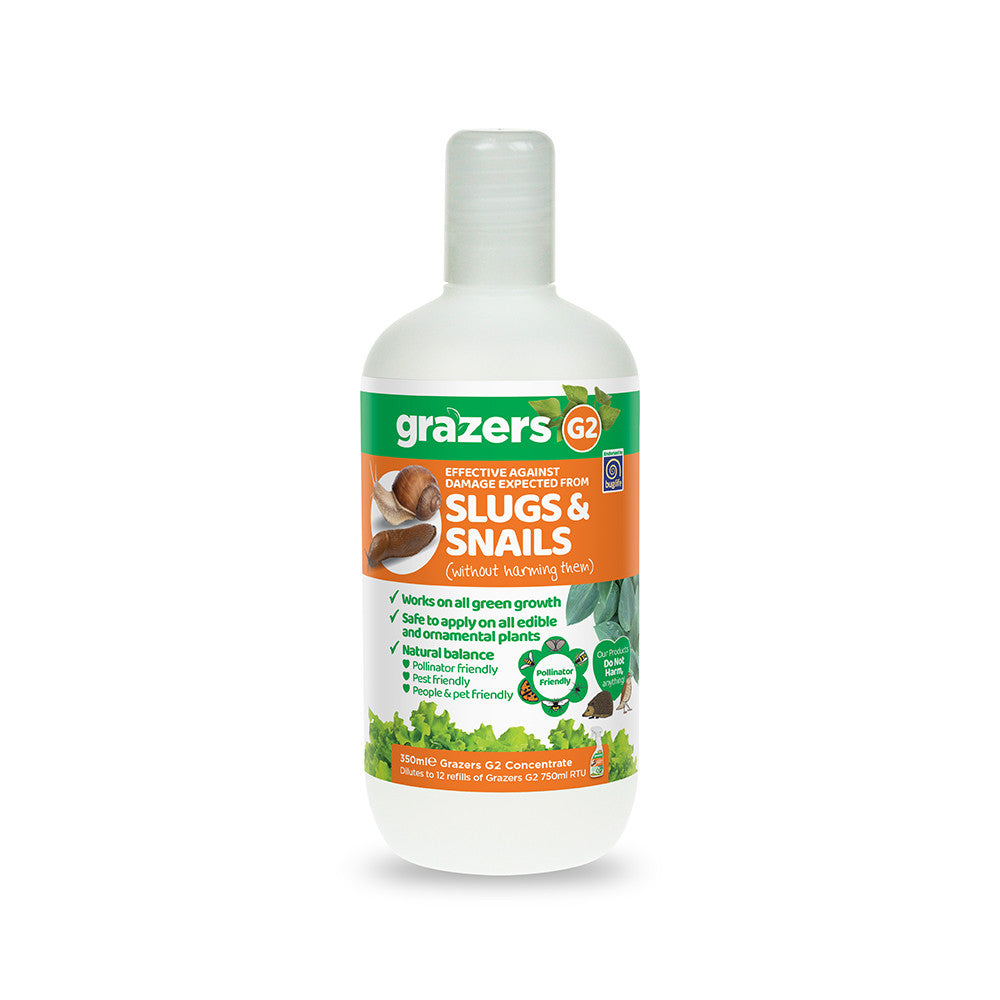Slug and Snail Treatment
