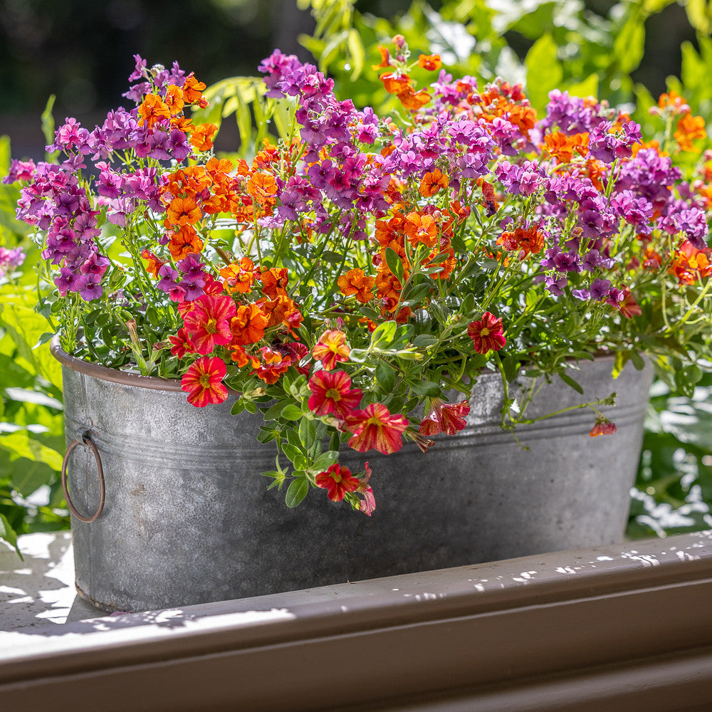 Zinc Oval Curved Troughs