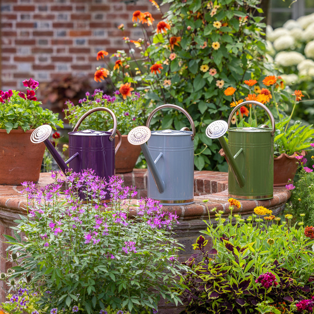 9L Watering Can