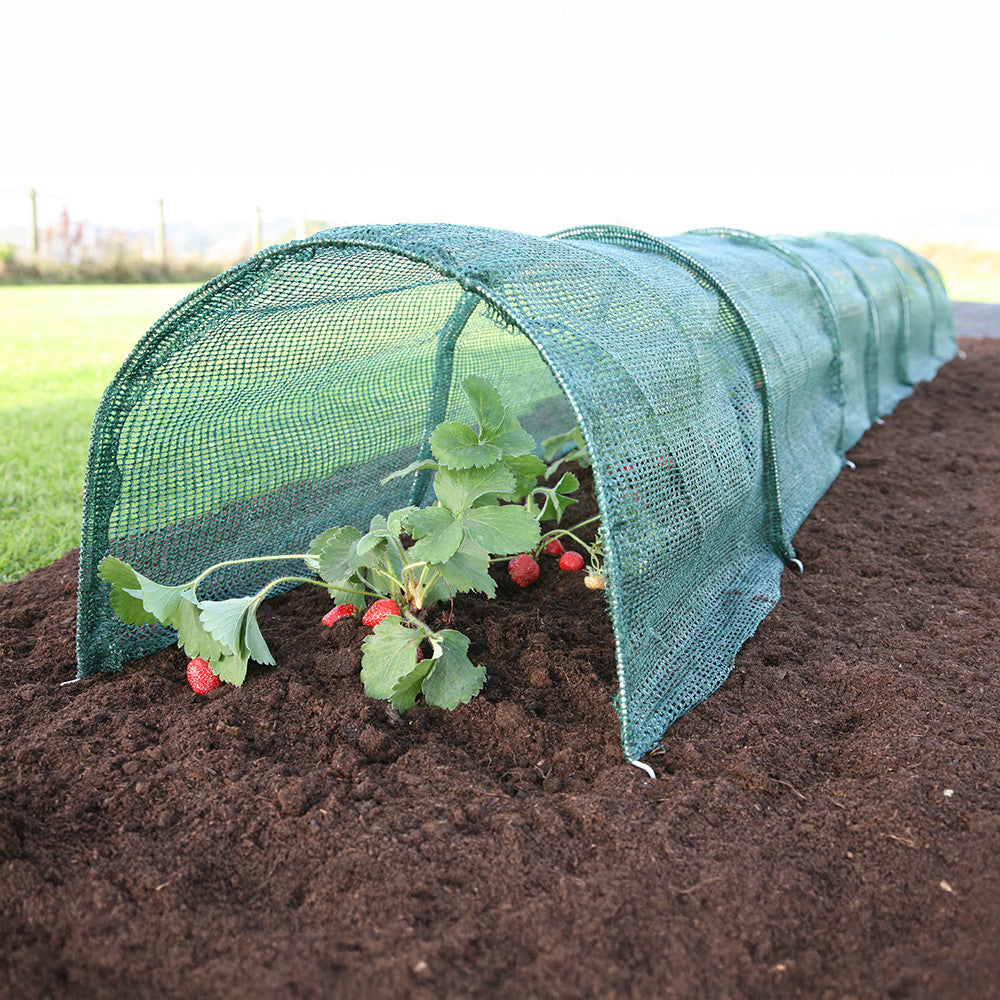Easy Net Tunnel