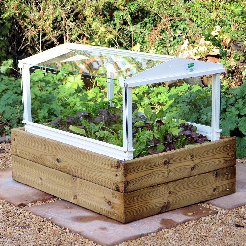 Herb & Salad Cloche Planter