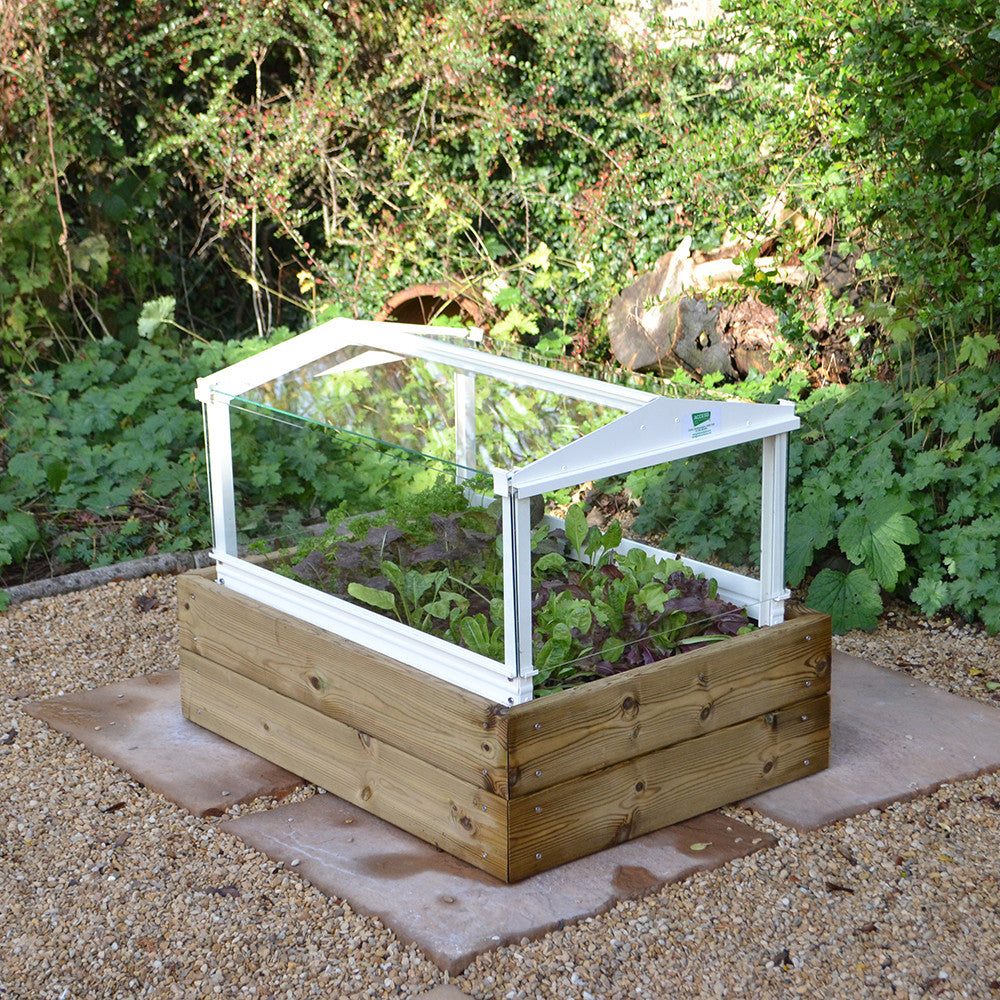Herb & Salad Cloche Planter