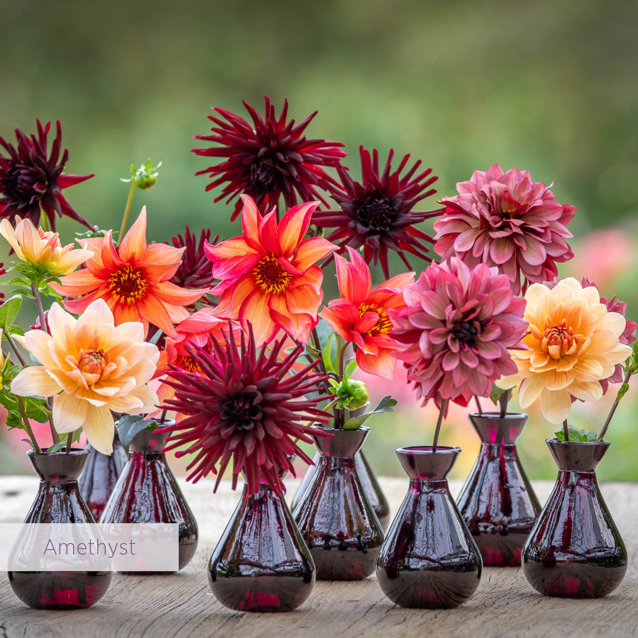 Jewel Vase Collections