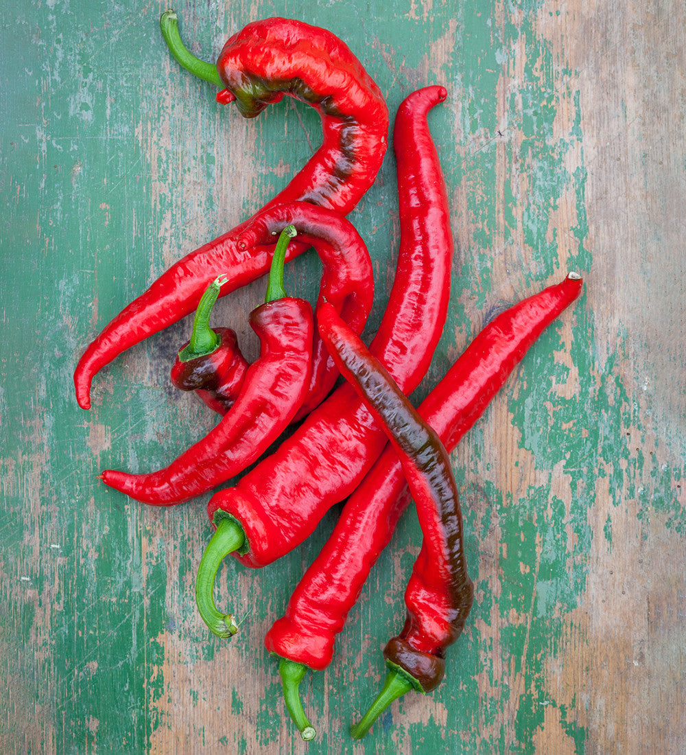 Chilli 'Hot Cayenne'