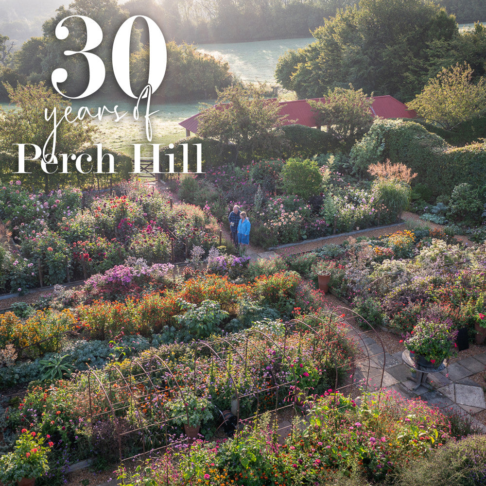 Perch Hill Dahlia Day - 30 years of growing and breeding dahlias