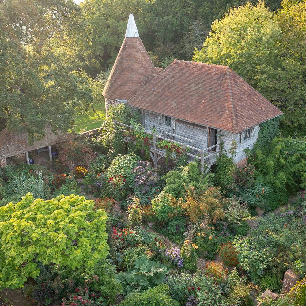 Perch Hill Dahlia Day - 30 years of growing and breeding dahlias