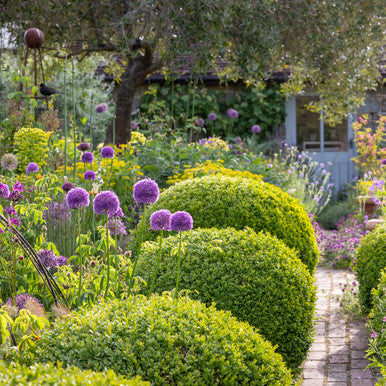 June and July Open Days