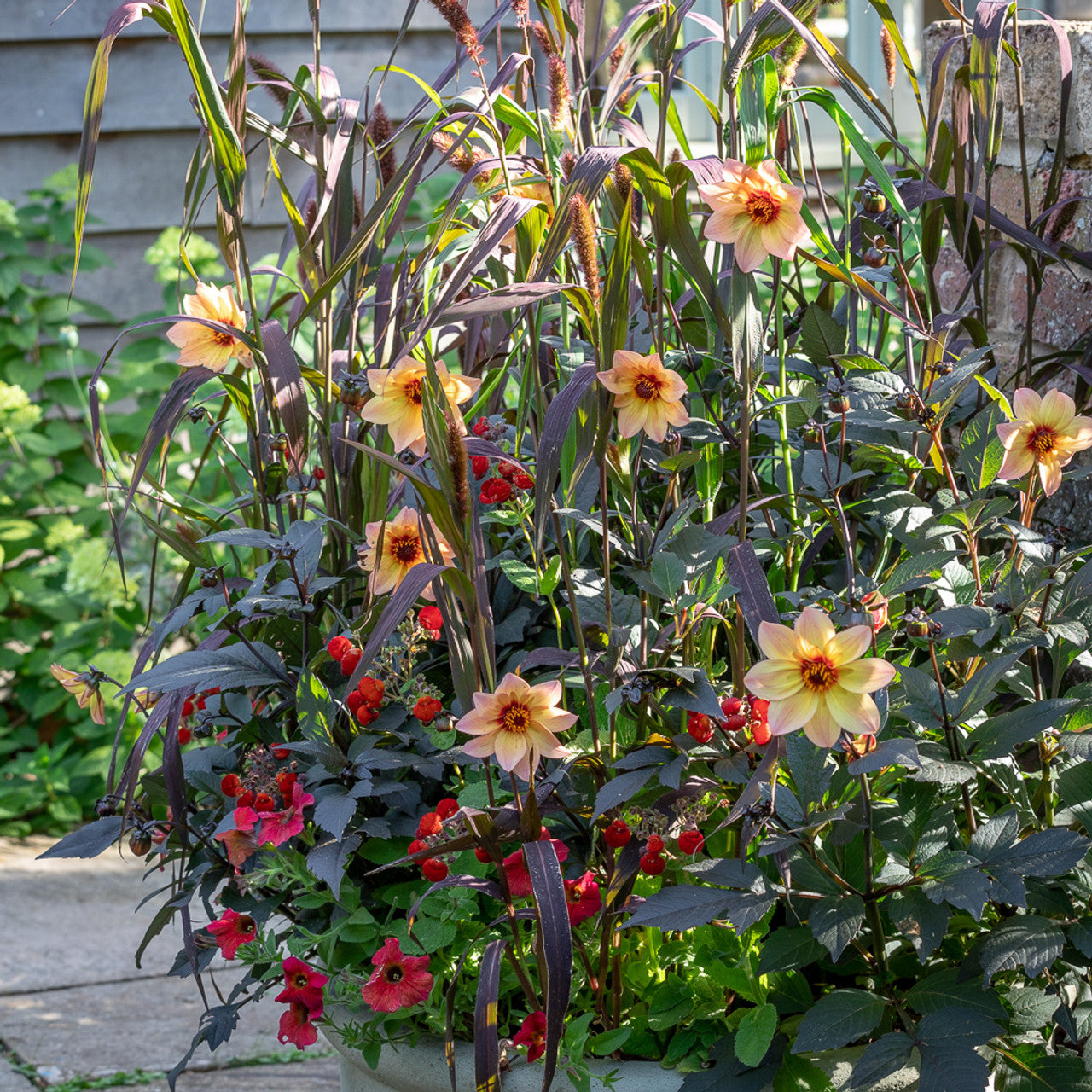 A Year Full of Pots with Sarah Raven at Perch Hill