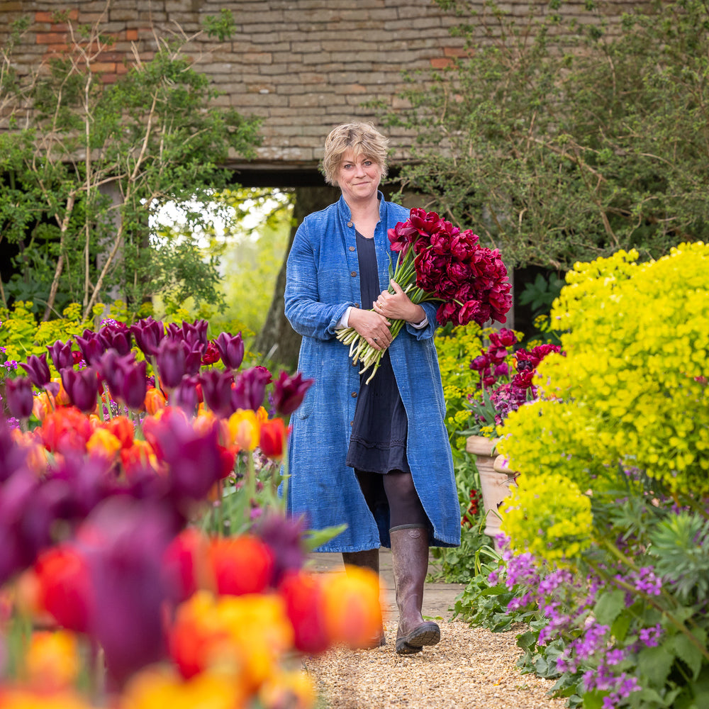 The Kaleidoscope Garden – Planting for Colour and Flowers Through Every Season with Sarah Raven at Perch Hill