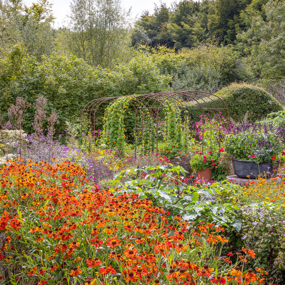 The Kaleidoscope Garden – Planting for Colour and Flowers Through Every Season with Sarah Raven at Perch Hill